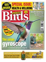Cage & Aviary Birds